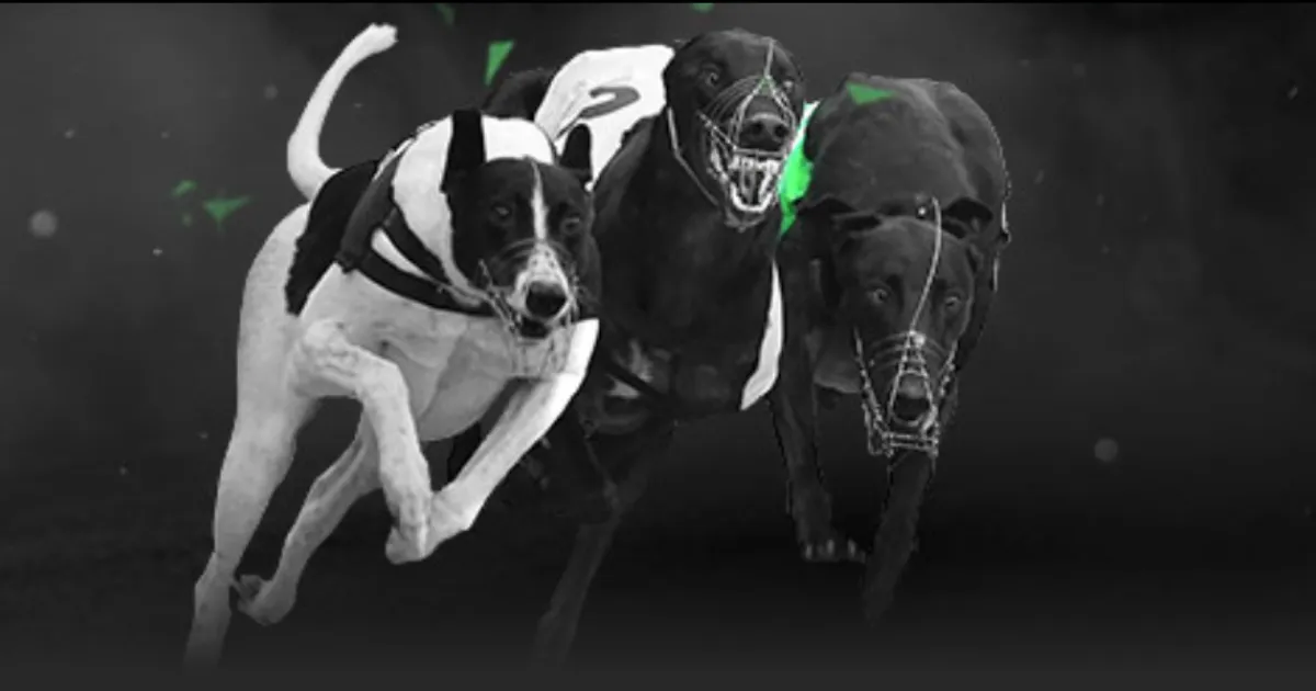 决战时刻,申花与津门,虎中超末轮,Bet365中文版,Bet365台灣,bet365官網,bet365網址,bet365,app下載