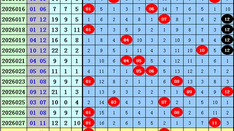 26期大乐透方案：专家推荐复式拖胆，共赚大钱