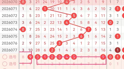 大乐透023期专家推荐：守号胆码02 03 07