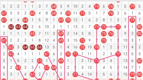 第2026079期 2026079期广楚快乐8单注推荐分析